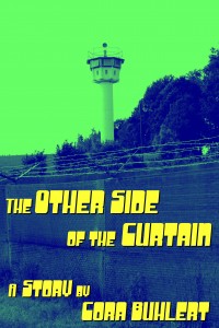 Cover: The Other Side of the Curtain