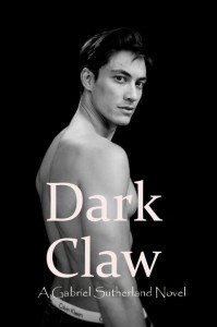 Dark Claw by Joyce Chng
