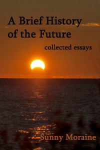 A Brief History of the Future by Sunny Moraine
