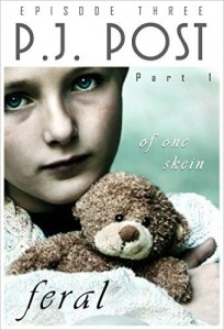 Of One Skein by P.J. Post