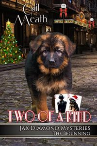 Two of a Kind by Gail Meath